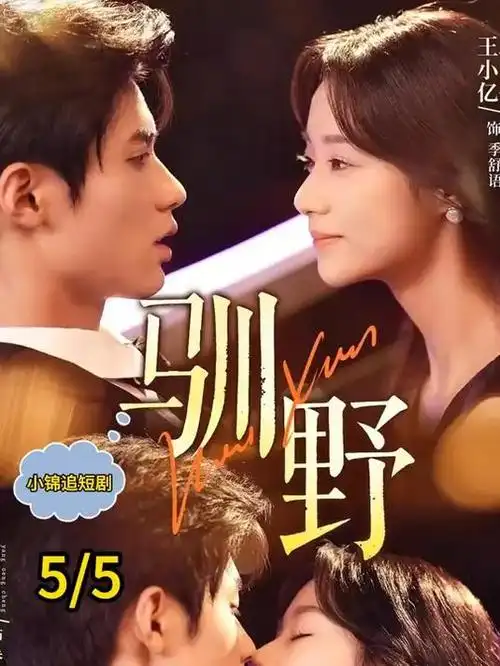 治愈之光：草原上的晴朗日子
